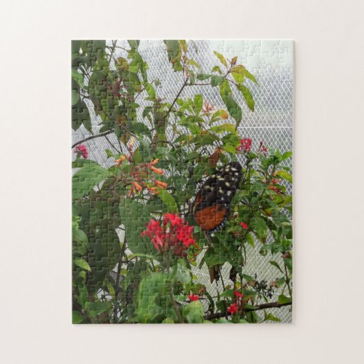 オレンジバタフライ ジグソーパズル (縦)