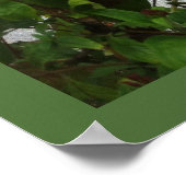 オレンジバタフライ ポスター (角)