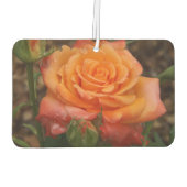 オレンジバラエアーフレッシュナー カーエアーフレッシュナー (裏面)