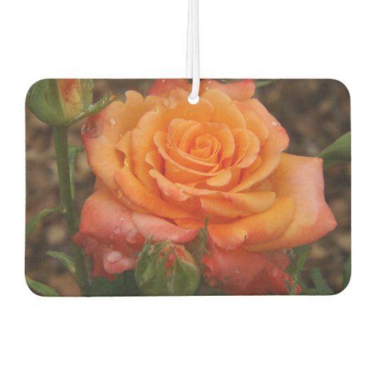 オレンジバラエアーフレッシュナー カーエアーフレッシュナー (正面)