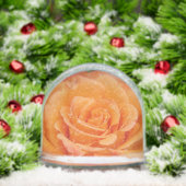 オレンジバラスノーグローブ (クリスマス)