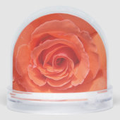 オレンジバラスノーグローブ (裏面)