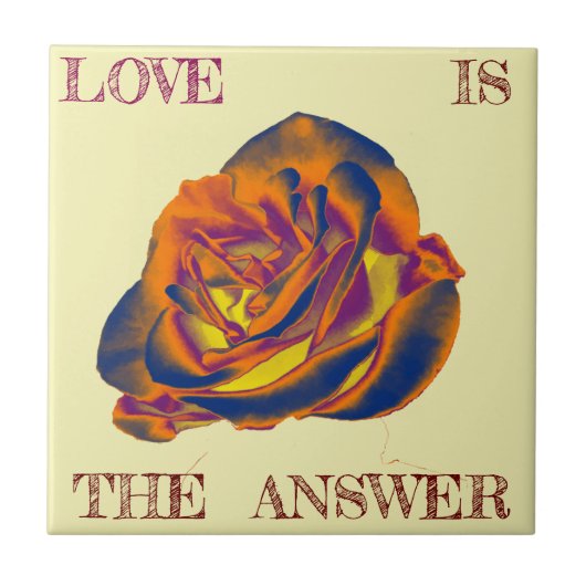 オレンジバラタイル タイル (正面)