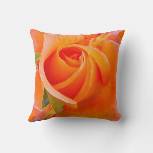 オレンジバラバイアレクサンドラ調理師 クッション (裏面)