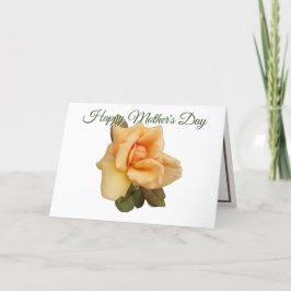 オレンジバラ切り出しフォトホワイトマザーズのデイカード シーズンカード