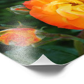 オレンジバラ瞑想フォトウォールデコール フォトプリント            (角)