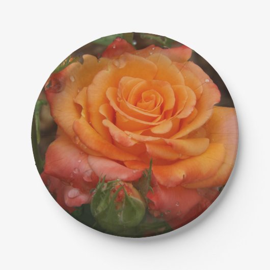 オレンジバラ紙プレート ペーパープレート (正面)