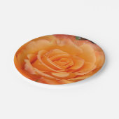オレンジバラ紙プレート ペーパープレート (アングル)