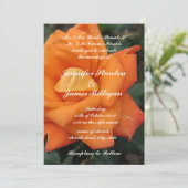 オレンジバラ花招待 招待状 (スタンド正面)