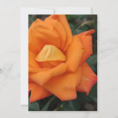 オレンジバラ花招待 招待状 (裏面)