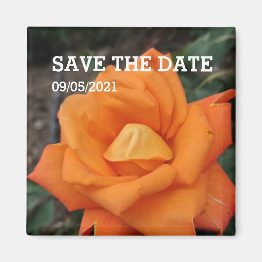 オレンジバラ花磁石 マグネット (正面)