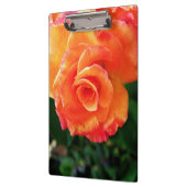 オレンジバラ花 クリップボード (左)