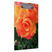 オレンジバラ花 クリップボード (右)