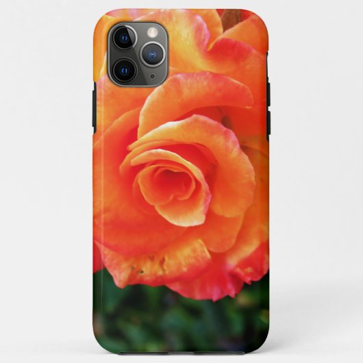 オレンジバラ花 Case-Mate iPhoneケース (裏面)