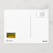 オレンジバラ2 ポストカード (裏面)