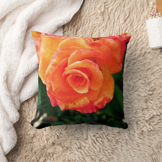 オレンジバラ クッション (ブランケット)