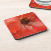 オレンジバラ コースター (左側)