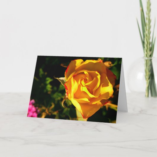 オレンジバラ シーズンカード (正面)