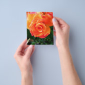 オレンジバラ チラシ (手)