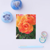 オレンジバラ チラシ (シングル)