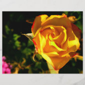 オレンジバラ チラシ (正面)