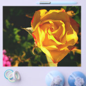 オレンジバラ チラシ (シングル)