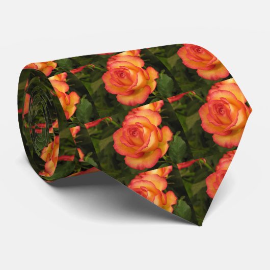 オレンジバラ ネクタイ (ロール)