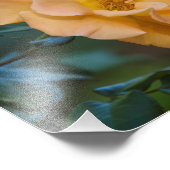 オレンジバラ フォトプリント            (角)