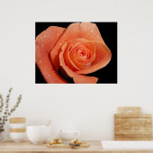 オレンジバラ ポスター (キッチン)