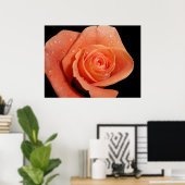 オレンジバラ ポスター (ホームオフィス)