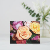 オレンジバラ ポストカード (スタンド正面)