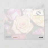 オレンジバラ ポストカード (裏面)