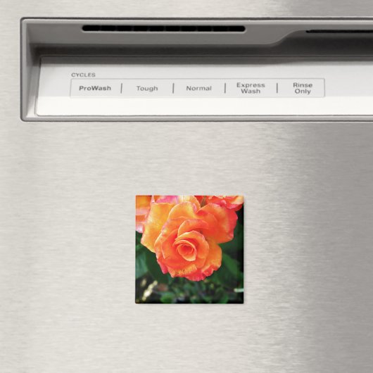 オレンジバラ マグネット (インサイチュ (食洗機))