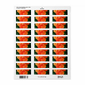 オレンジバラ ラベル (フルシート)