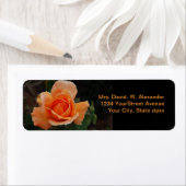 オレンジバラ ラベル (インサイチュ)