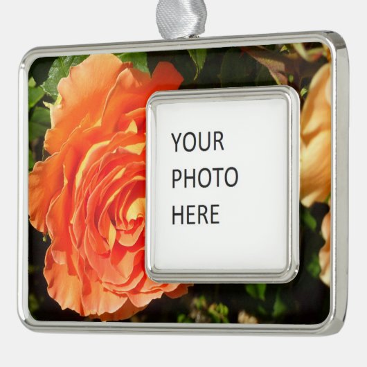 オレンジバラIかわいらしフローラ シルバープレートフレームオーナメント (左)