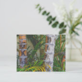 オレンジバンブ ポストカード (スタンド正面)