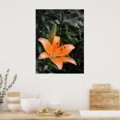 オレンジバースト ポスター (キッチン)