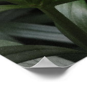 オレンジバースト ポスター (角)