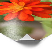 オレンジバースト！10x8写真 フォトプリント            (角)