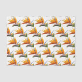 オレンジバードオブパラダイスプラントフローラルパターン 薄葉紙 (正面)