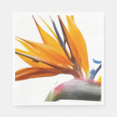 オレンジバードオブパラダイスプラントフローラ スタンダードランチョンナプキン (正面)