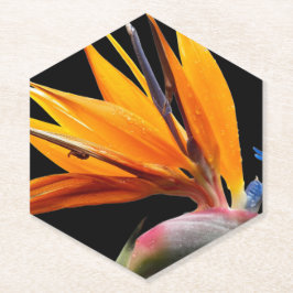 オレンジバードオブパラダイスプラント開花フローラ ペーパーコースター