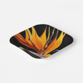 オレンジバードオブパラダイスプラント開花フローラ ペーパープレート (傾斜あり)