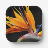オレンジバードオブパラダイスプラント開花フローラ ペーパープレート (正面)