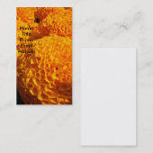 オレンジパフのプロフィールカード 名刺 (正面/裏面)