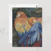 オレンジパロット ポストカード (正面/裏面)