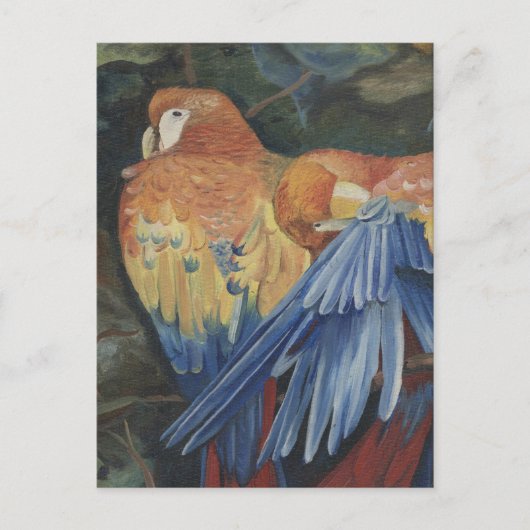 オレンジパロット ポストカード (正面)