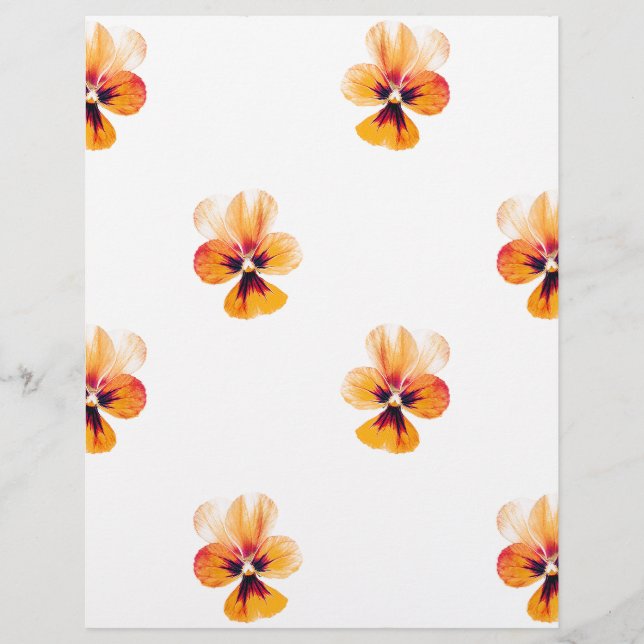 オレンジパンジー (正面)