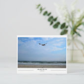 オレンジビーチアラバマ ポストカード (スタンド正面)